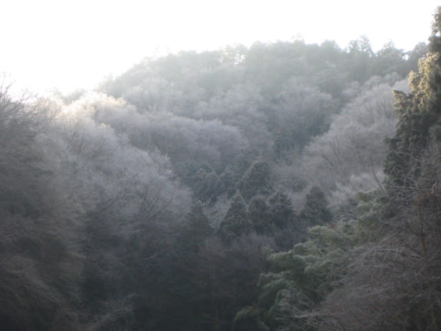Photo_2 Photo_2