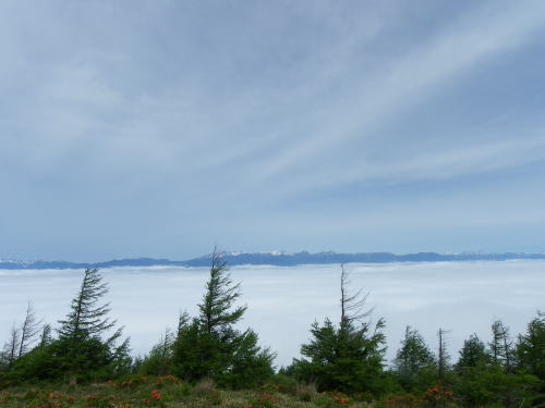 鉢伏山で見た雲海