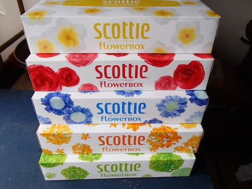 ティッシュの季節 こんにちは江崎遊子です