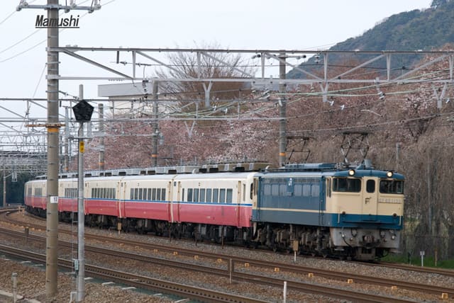 追憶 14系ムーンライト九州 - 鉄ある記