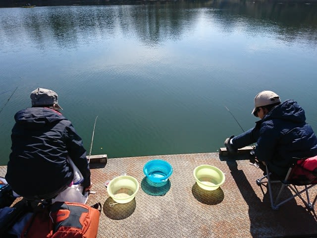 鮎川湖に行ってきた ファミリータイム カッパの淡々スイスイ