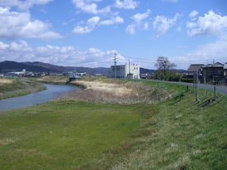 高屋川の堤