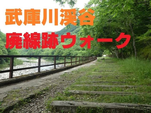 いつもと違う川に沿って ダンポポの種 いつもと違う川に沿って ダンポポの種