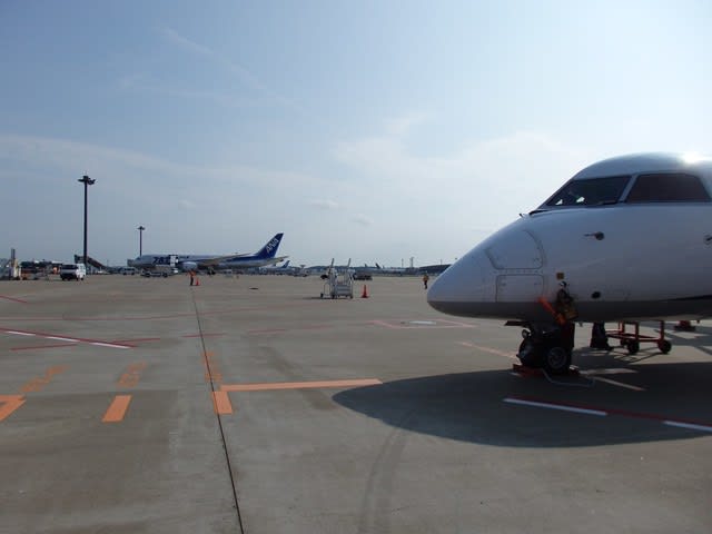 新潟空港から成田空港へ飛行機で行ってみました ...