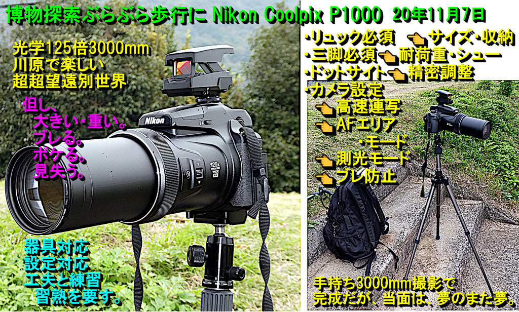 70％OFFアウトレット ニコン デジタルカメラ COOLPIXP1000 ブラック P1000BK 1台 21 fucoa.cl