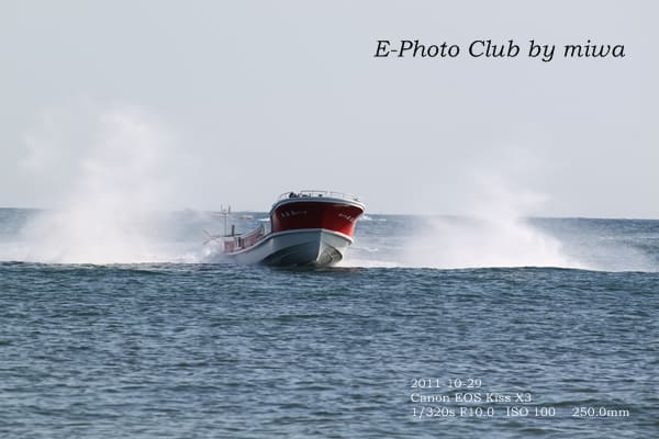 晩秋の ねこあし昆布漁 E Photo Club 道東を愛する写真家たち 晩秋の ねこあし昆布漁 E Photo Club 道東を愛する写真家たち