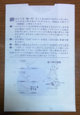 ぎょう虫検査の天使 わっきぃブログ ぎょう虫検査の天使 わっきぃブログ