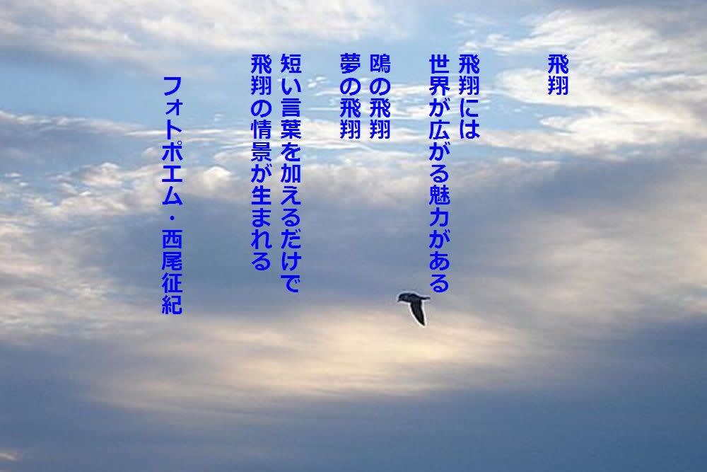 飛翔 夢の飛翔 西尾征紀 Nishio Masanori
