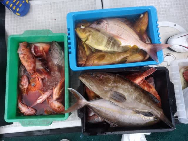 五目釣りと きらら風呂の会 人生は邂逅なり