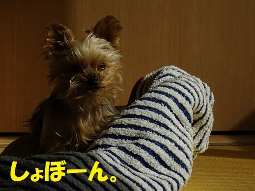 今の心境 あやたろう日記 今の心境 あやたろう日記