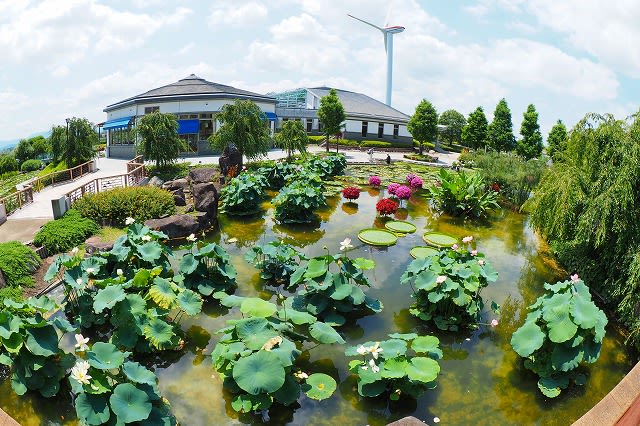 草津市立 水生植物公園みずの森にて 滋賀県草津市 その壱 なないろ