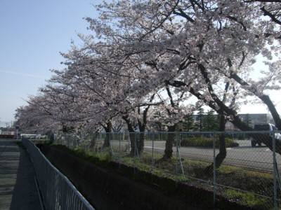 Photo_2