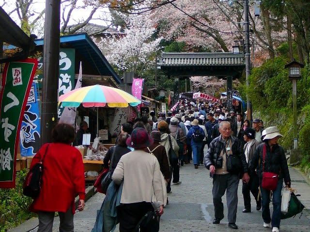 吉野の千本桜の画像