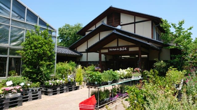 18 6 4 昼飯は 小布施 Obuse花屋 今日のころころこころ 18 6 4 昼飯は 小布施 Obuse花屋 今日のころころこころ