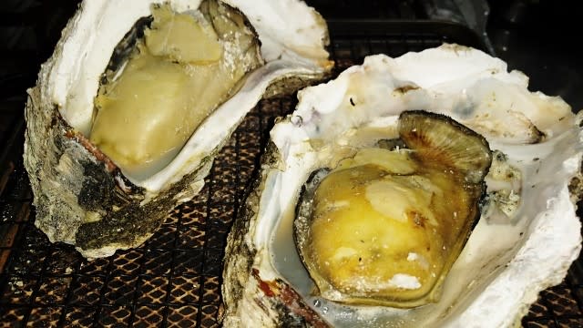 福田 ふくで の岩牡蠣 農 と言える 福田 ふくで の岩牡蠣 農 と言える