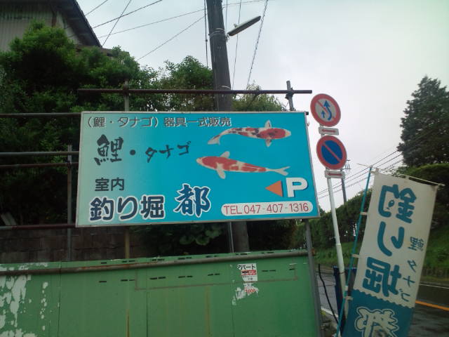 室内つりぼり 千葉白井 つり堀都 タナゴ編 だぁなさんの だぁなりずむ