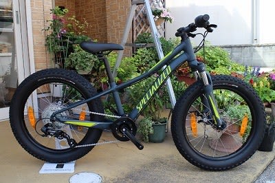 specialized riprock 20 2018