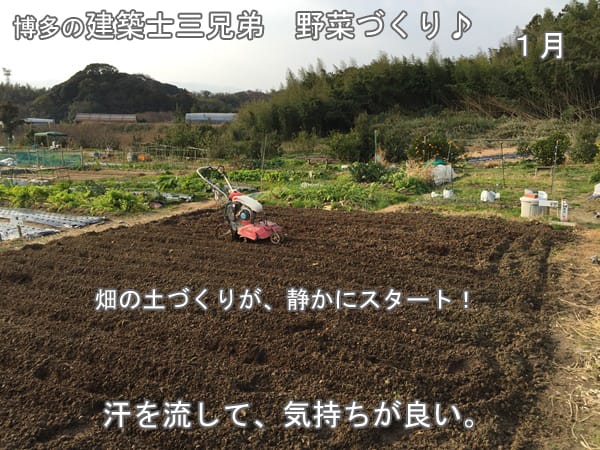 糸島野菜作り。畑の土づくりからスタート。