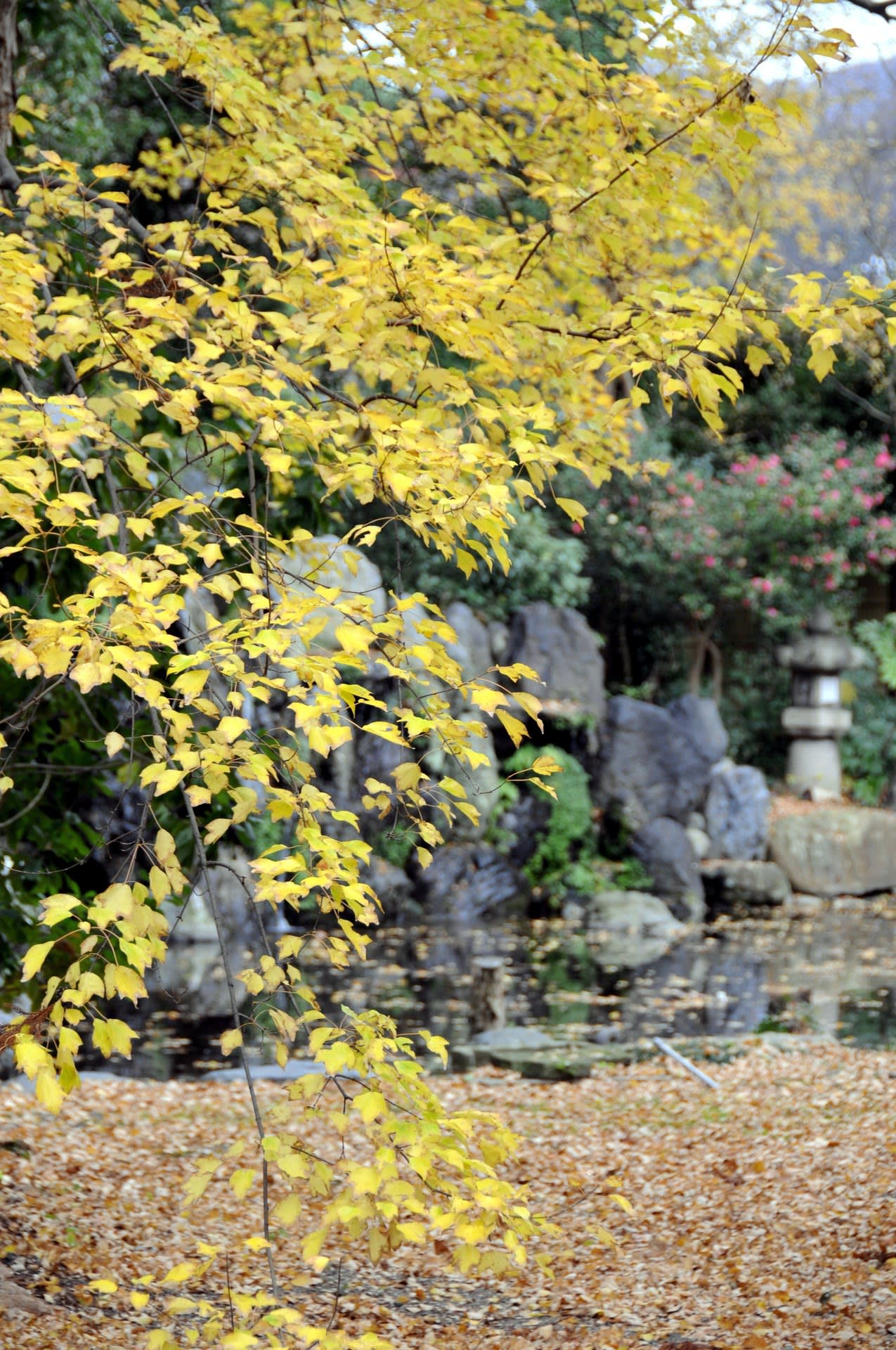 日帰りバス旅行!の画像