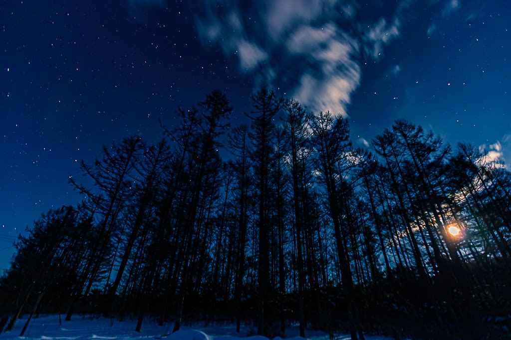 星月夜の写真