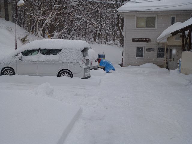 昨日から降り続いた雪は約40センチ！！！！ - Today's SG
