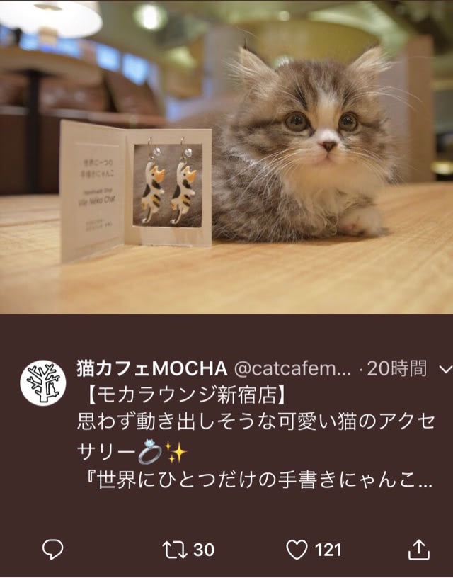 猫カフェ Mochaラウンジ 新宿店 出品中にゃ ハートのにくきゅう