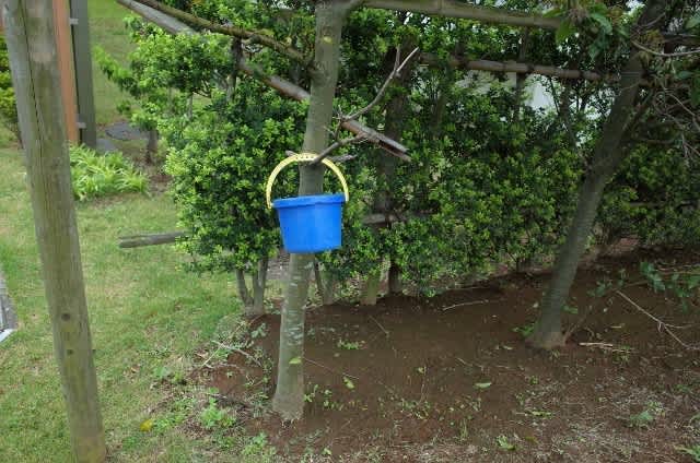 よく洗濯物が落ちている場所 今日も明日も愛してる よく洗濯物が落ちている場所 今日も明日も愛してる