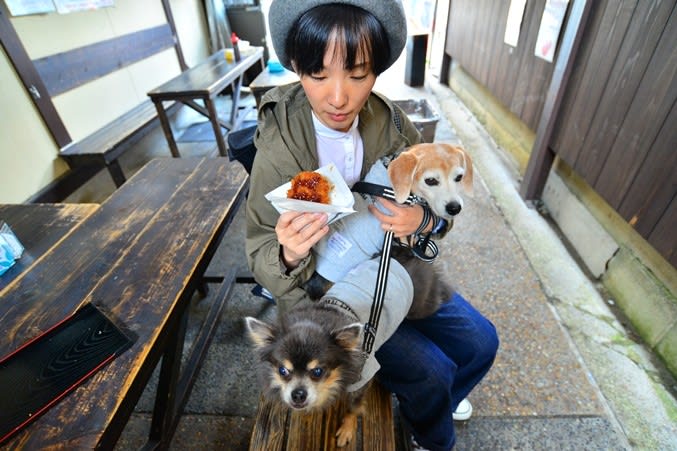 ペットと飛騨高山 白川郷へ旅行 その１ 高山 Crea Cafe