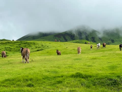 【熊本空港から大分へ】大分で地獄めぐり。 - 神奈川県川崎市のセレクトショップAmie(エイミー)の代表が綴る徒然日記です。