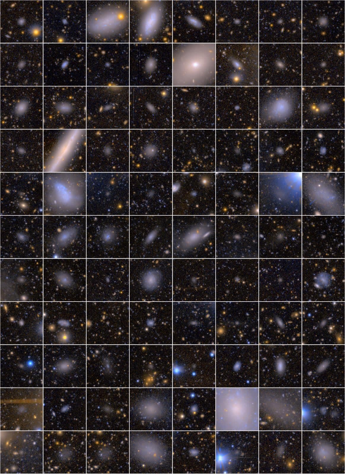 検出された衛星銀河の一部。多くの衛星銀河は淡く広がっている。（Credit: 国立天文台）