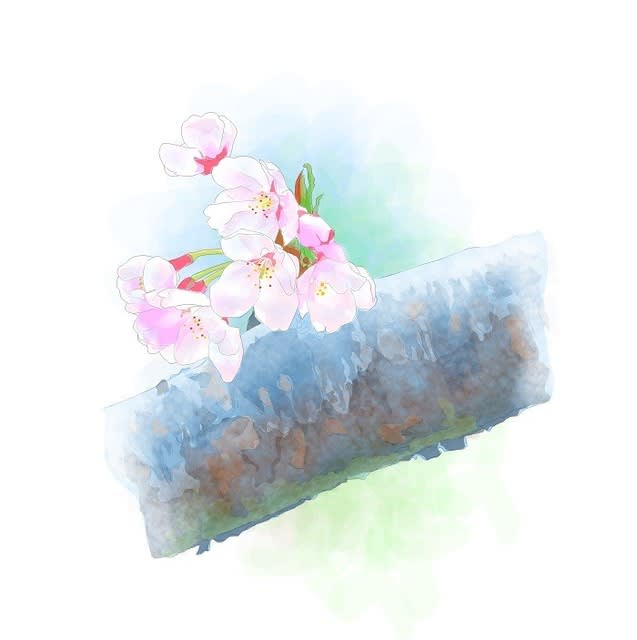 桜のイラスト パソコン絵手紙