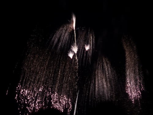 ２０１５年諏訪湖祭湖上花火大会で見た花火　枝垂れる花火