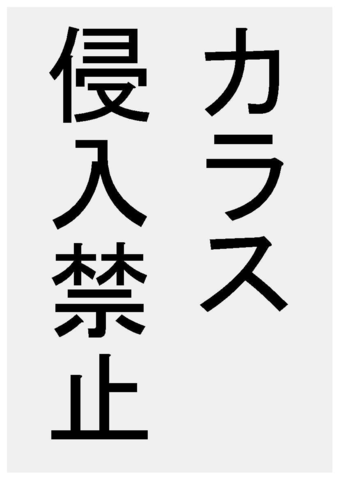 我が家の猫日記 ブリティッシュショートヘア 2ページ目