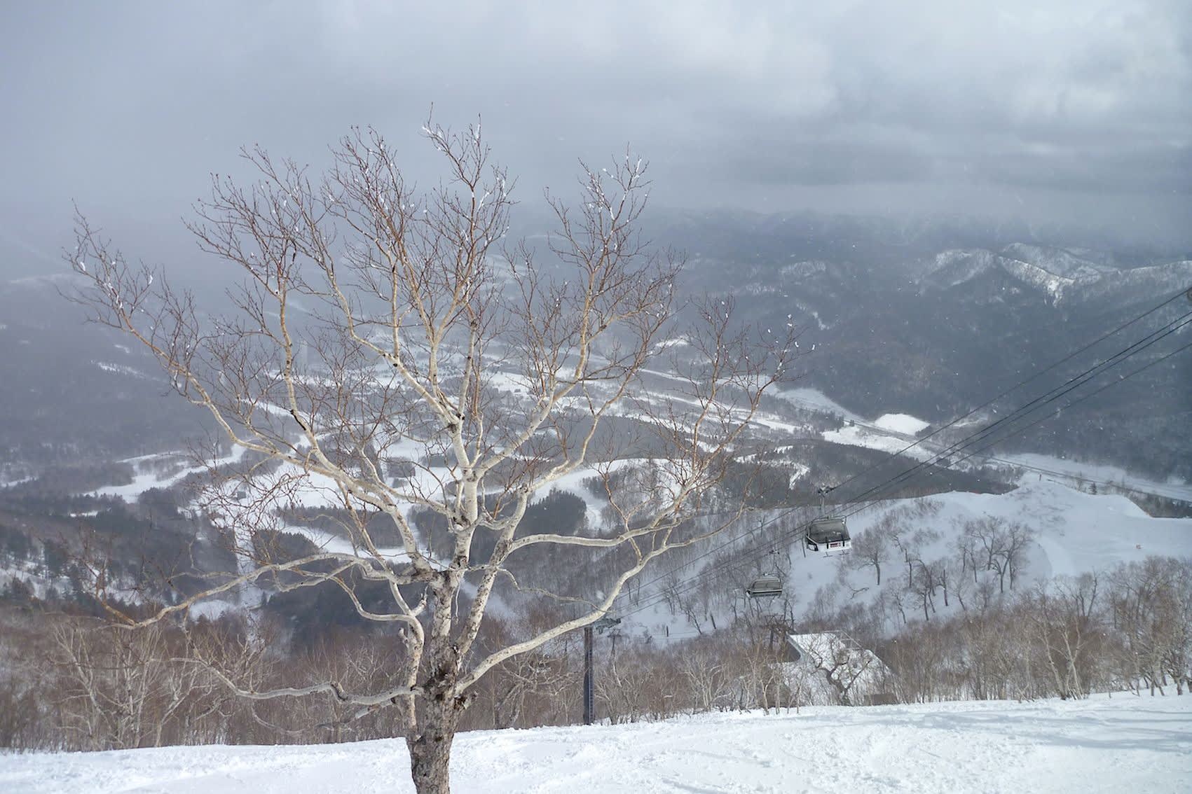 今日のトマム 3月24日 えぞ地 北海道 の身近な風景 今日のトマム 3月24日 えぞ地 北海道 の身近な風景