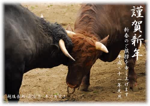 明けましておめでとうございます 2009 - 平凡な日々が一番だ