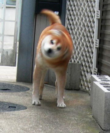 高速ブルブル プースケ大好きくりあずき 高速ブルブル プースケ大好きくりあずき