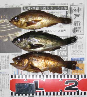 H210117 H210117
