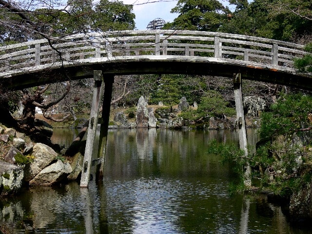 玄宮園の池に架かる太鼓橋が美しい