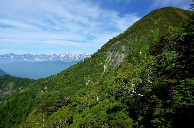 新緑の名山 緑輝く高妻山 - 気ままなピークハンターズの山旅