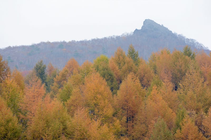 Dsc_5408_2 Dsc_5408_2