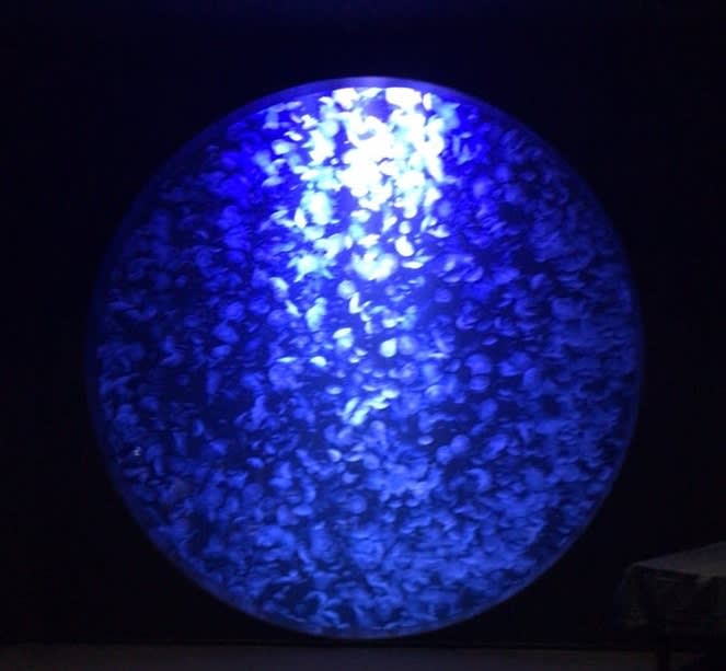 加茂水族館 クラゲドリーム館 山形県鶴岡市 酒とサカナとたびの空 加茂水族館 クラゲドリーム館 山形県鶴岡市 酒とサカナとたびの空
