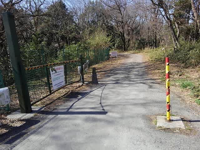 多摩湖 狭山湖林道 Mtbトレーニング 理容室 ヘアークラフト アウトドアとお酒の好きな バツイチ店主ブログ 多摩湖 狭山湖林道 Mtbトレーニング 理容室 ヘアークラフト アウトドアとお酒の好きな バツイチ店主ブログ