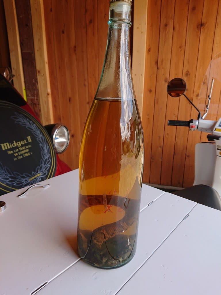 85％以上節約 マムシ酒 drenriquejmariani.com