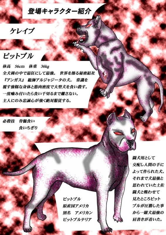 最強最狂ピットブル 土佐犬に圧勝 常識を覆す強靱な筋肉密度 鷹戦士学園 Japanese Manga 当ブログはリンクフリーの格闘漫画です