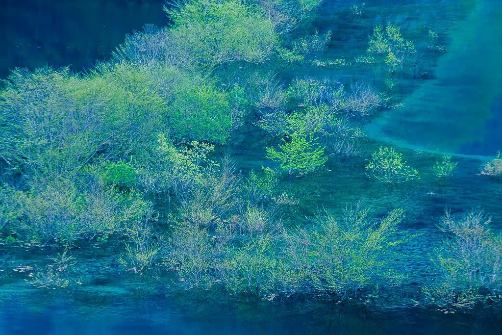 奥四万湖の浮島の写真