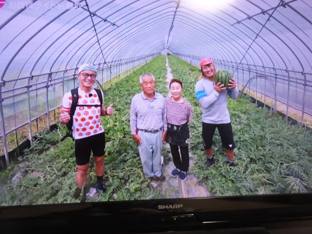 故郷鳥取の放映に釘づけ ゆみちゃんの３６５日