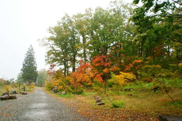 秋山郷 津南見玉公園 ビリアのブログ 秋山郷 津南見玉公園 ビリアのブログ