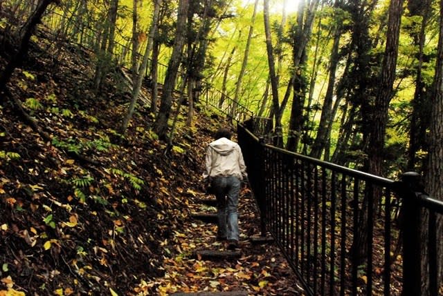 ２ 世立八滝 大仙の滝 段々の滝 箱の滝 たかたかのトレッキング