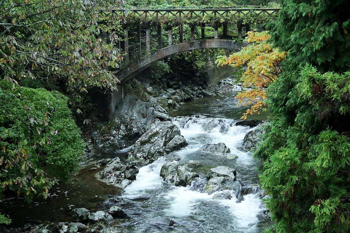 雨の稲武「どんぐりの里いなぶ」への画像