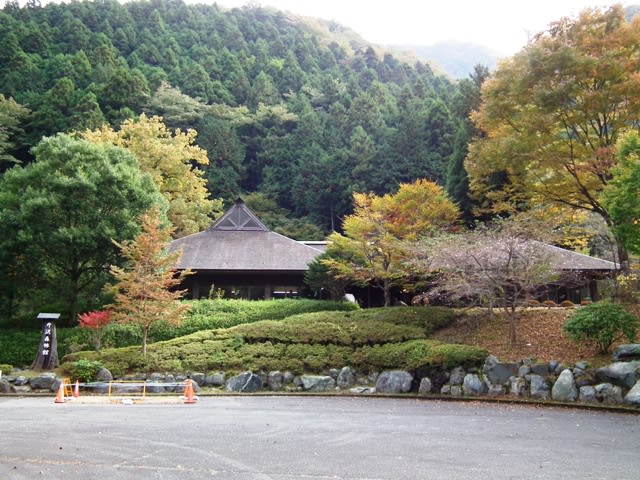 丹沢森林館 薬草園 神奈川県山北町 丹沢の森を知ろう おでかけたいむす